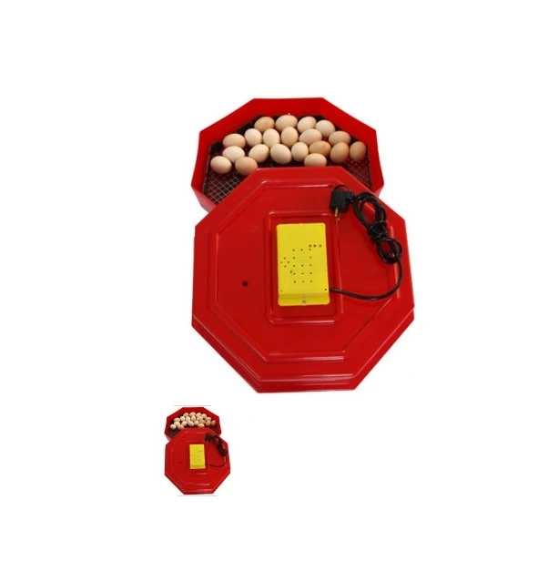 Incubator Electric Cleo-5